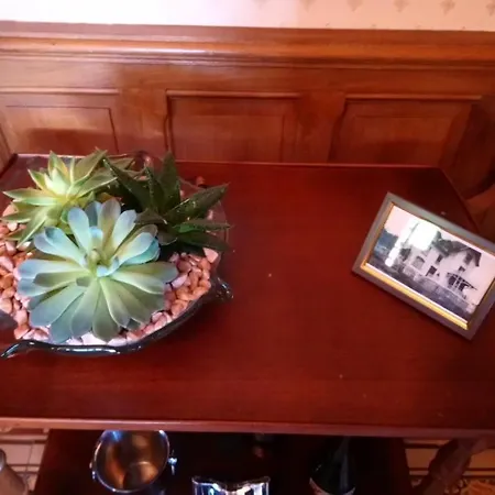 Domaine Des Thomins Bed and breakfast