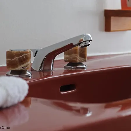 Domaine Des Thomins Bed and breakfast