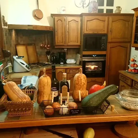 Domaine Des Thomins 3* Cisai-Saint-Aubin