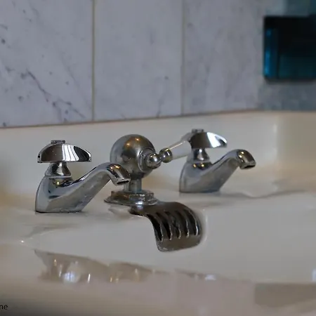 Domaine Des Thomins Bed and Breakfast 3*