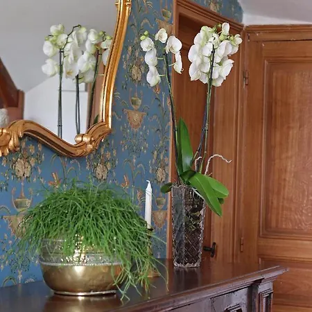 Bed and Breakfast Domaine Des Thomins