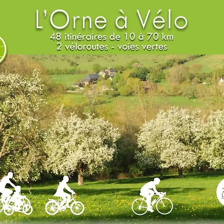 Domaine Des Thomins Bed and Breakfast