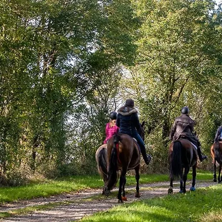 Bed and breakfast Domaine Des Thomins 3*