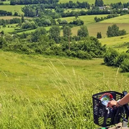 Domaine Des Thomins Bed and breakfast 3*