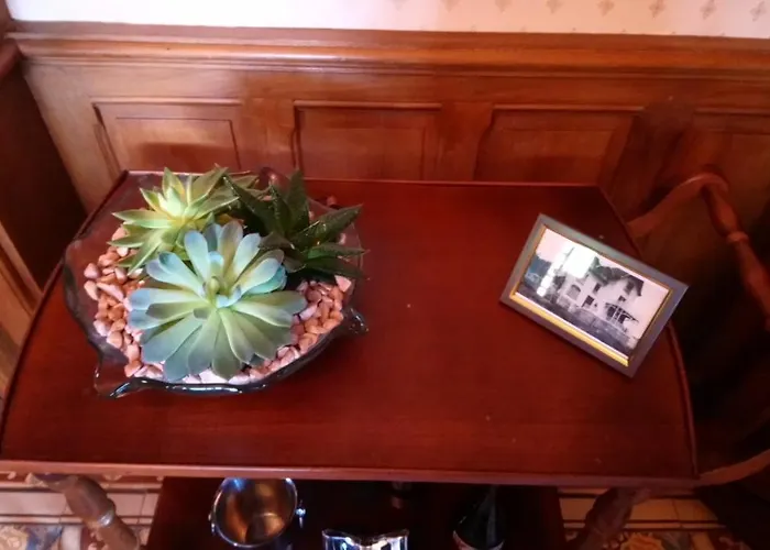 Domaine Des Thomins Bed & Breakfast