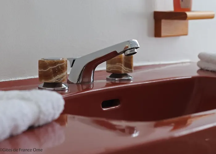 Domaine Des Thomins Bed & Breakfast