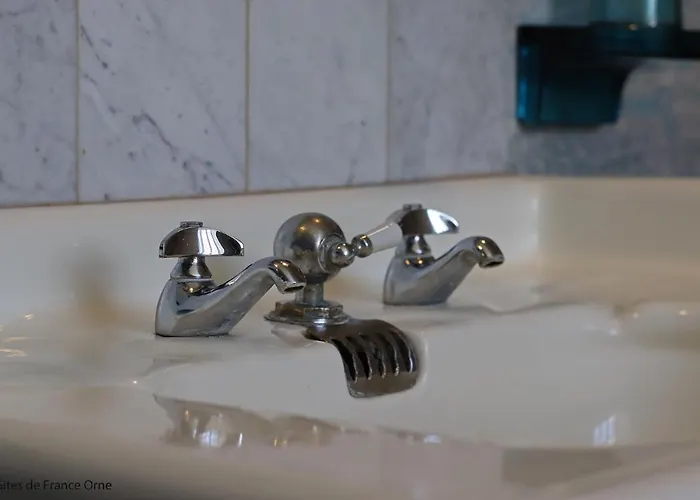 Domaine Des Thomins Bed & Breakfast 3*