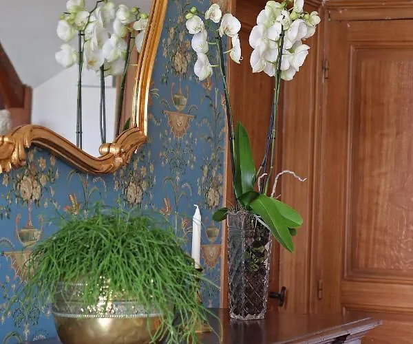 Bed & Breakfast Domaine Des Thomins