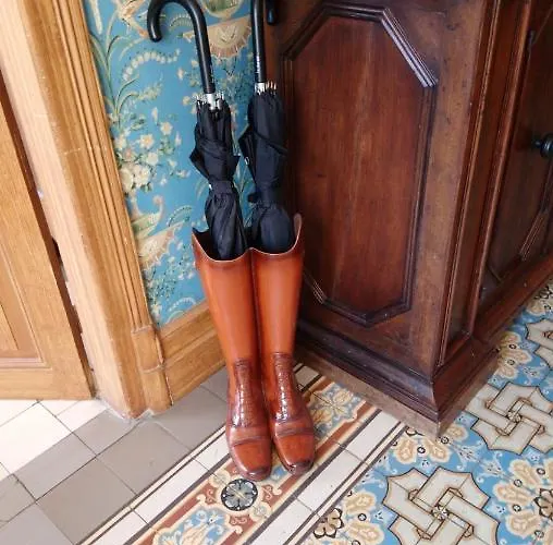 Domaine Des Thomins فندق مبيت وإفطار 3*