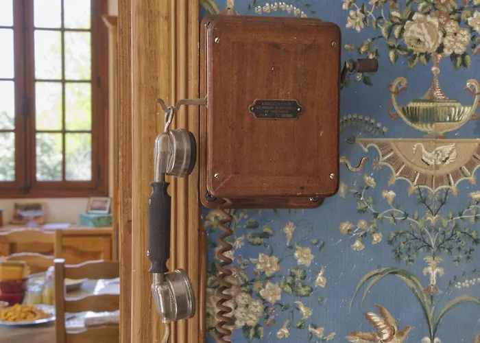 Domaine Des Thomins 3*