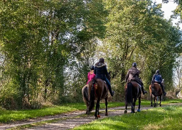 Bed & Breakfast Domaine Des Thomins 3*