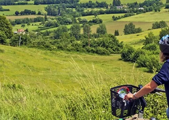 Domaine Des Thomins Bed & Breakfast 3*