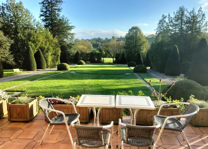 Domaine Des Thomins Cisai-Saint-Aubin